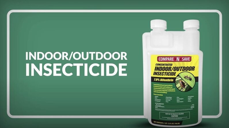 Compare-N-Save Concentrate Indoor and Outdoor Insect Control Review