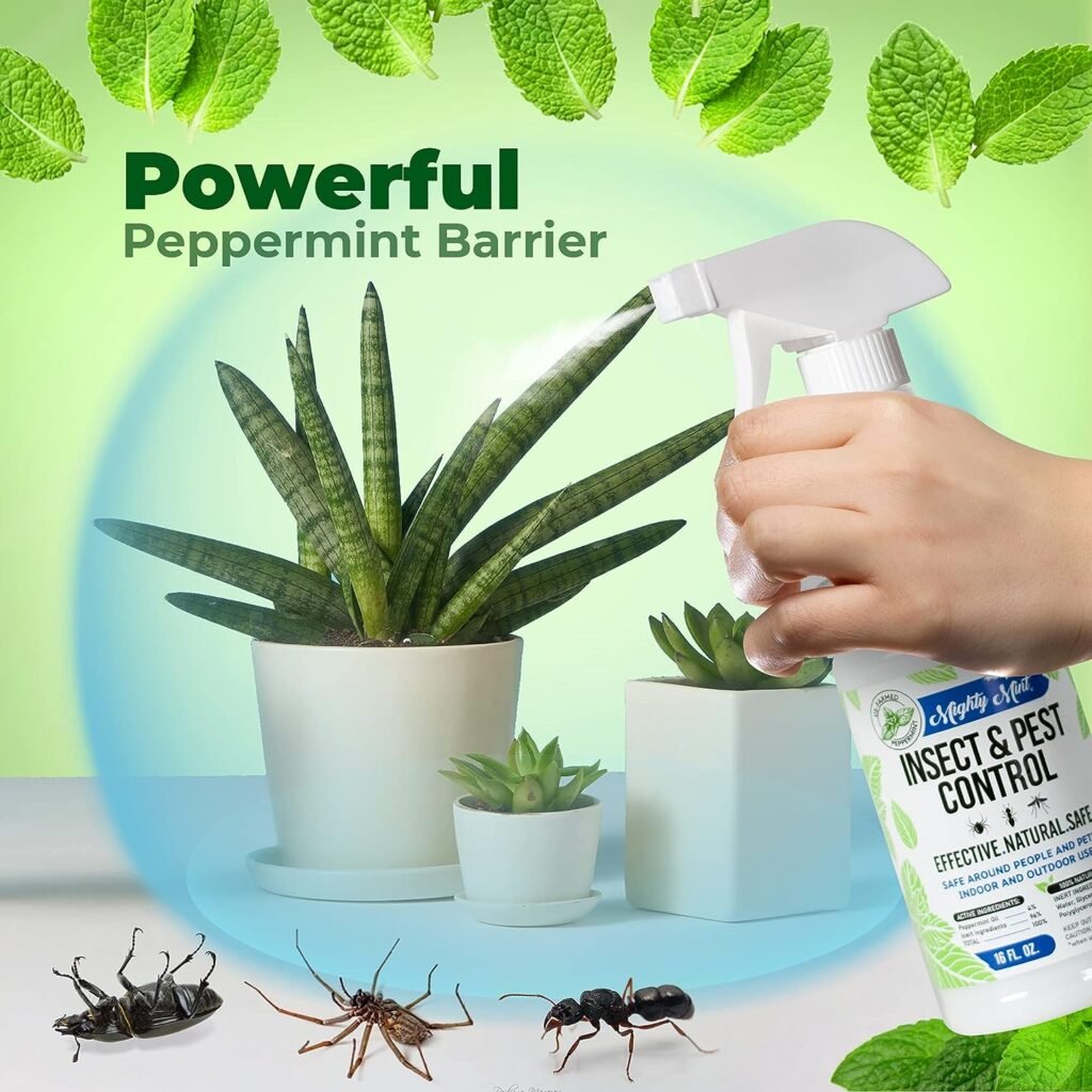 Mighty Mint 16 oz Peppermint Oil Insect Pest Spray - Kit - for Spiders, Ants, and More