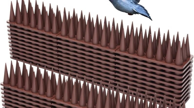 Mjokoj Bird Spikes Review