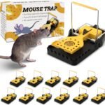 TOIUOT Mouse Traps Indoor Review