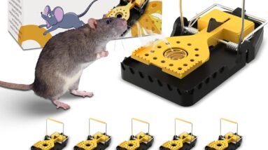 TOIUOT Mouse Traps Indoor Review