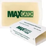 Catchmaster Max-Catch Mouse & Insect Glue Trap 72PK Review