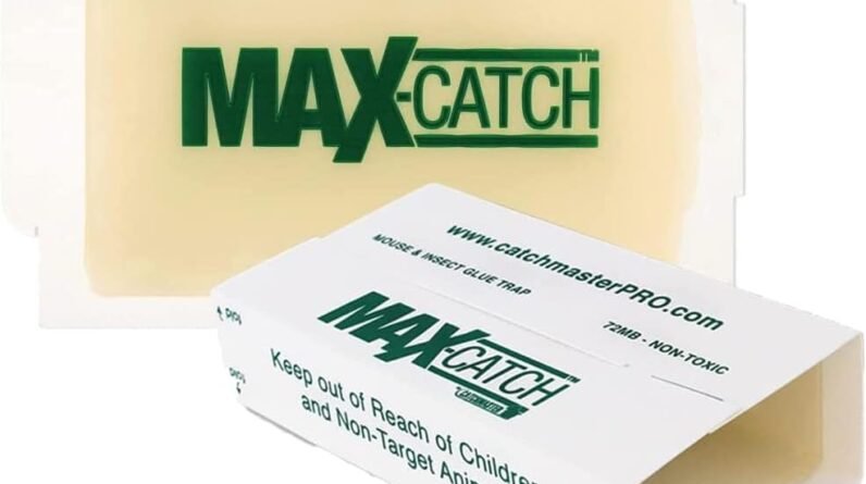 Catchmaster Max-Catch Mouse & Insect Glue Trap 72PK Review