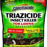 Spectracide Triazicide Insect Killer Review